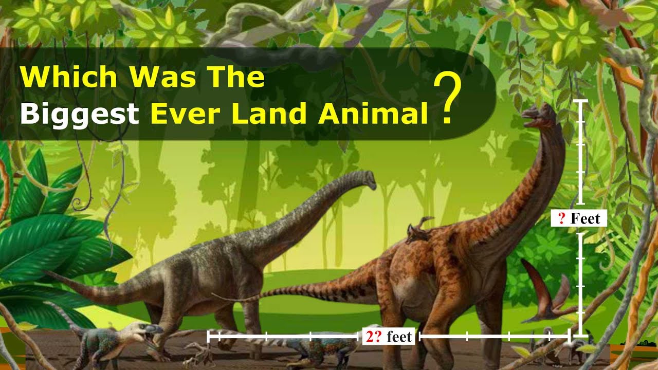 Which Was The Biggest Ever Land Animal?