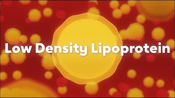 Your Easy Guide to Cholesterol-Lowering Medication