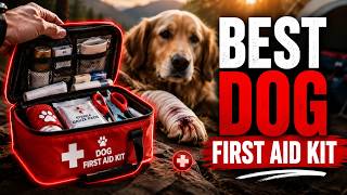 Top 5 Dog First Aid Kits for Emergencies in 2026
