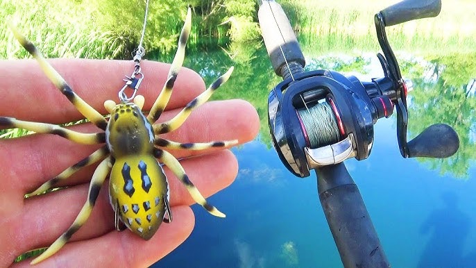 SPIDER BASS! Fishing a TOPWATER Spider Lure for BIG