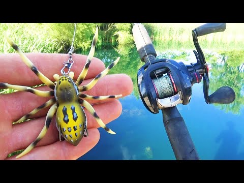 The Giant Spider Lure Bass Fishing Challenge! 