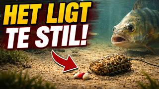 Ligt uw aas muisstil op de bodem? Waarom dit in het voorjaar uw grootste fout is!