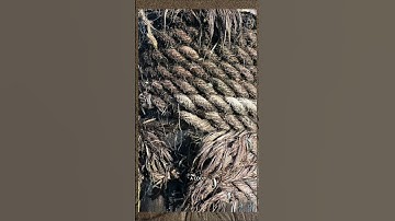 If It Feels Ordinary, I Turn It Into Art