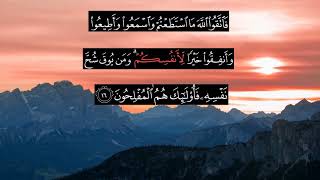 Recitation of Surah Taghabun (Verses 11-18) with English Translation | English Quran