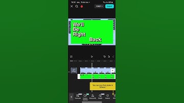 GREEN SCREEN Like a PRO with This One Simple CapCut Technique