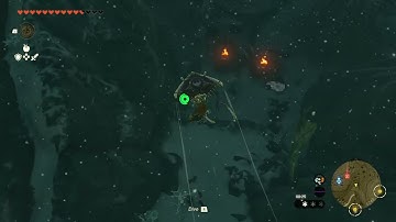 [DAY 546] of finding one korok seed in TotK everyday until we get them all