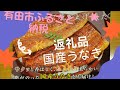 ふるさと納税　有田市　カワスイ国産うなぎ