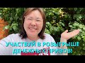 Участвуй в розыгрыше денежных призов 🏆