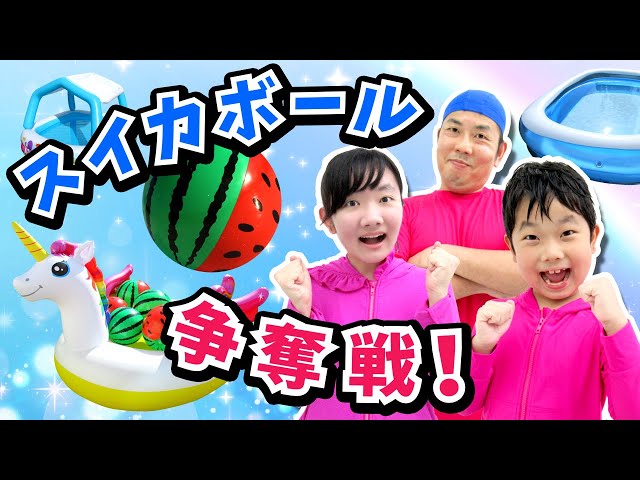 ぷるぷるぷりんちゃん ぷるぷるぷるるん 🍮⸒⸒ 韓国で大人気の猫プリン