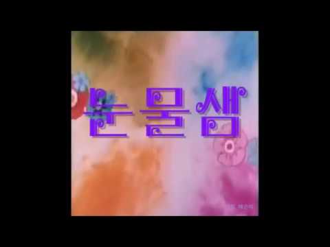 혜은이 - 눈물샘