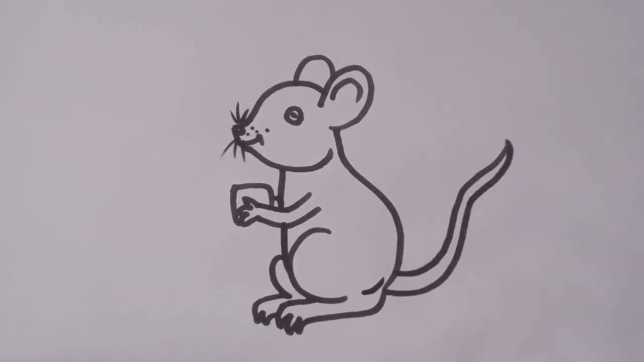 How to draw rat easy drawing step by step/Animal drawing 