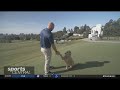 The pup at the Curtis Cup