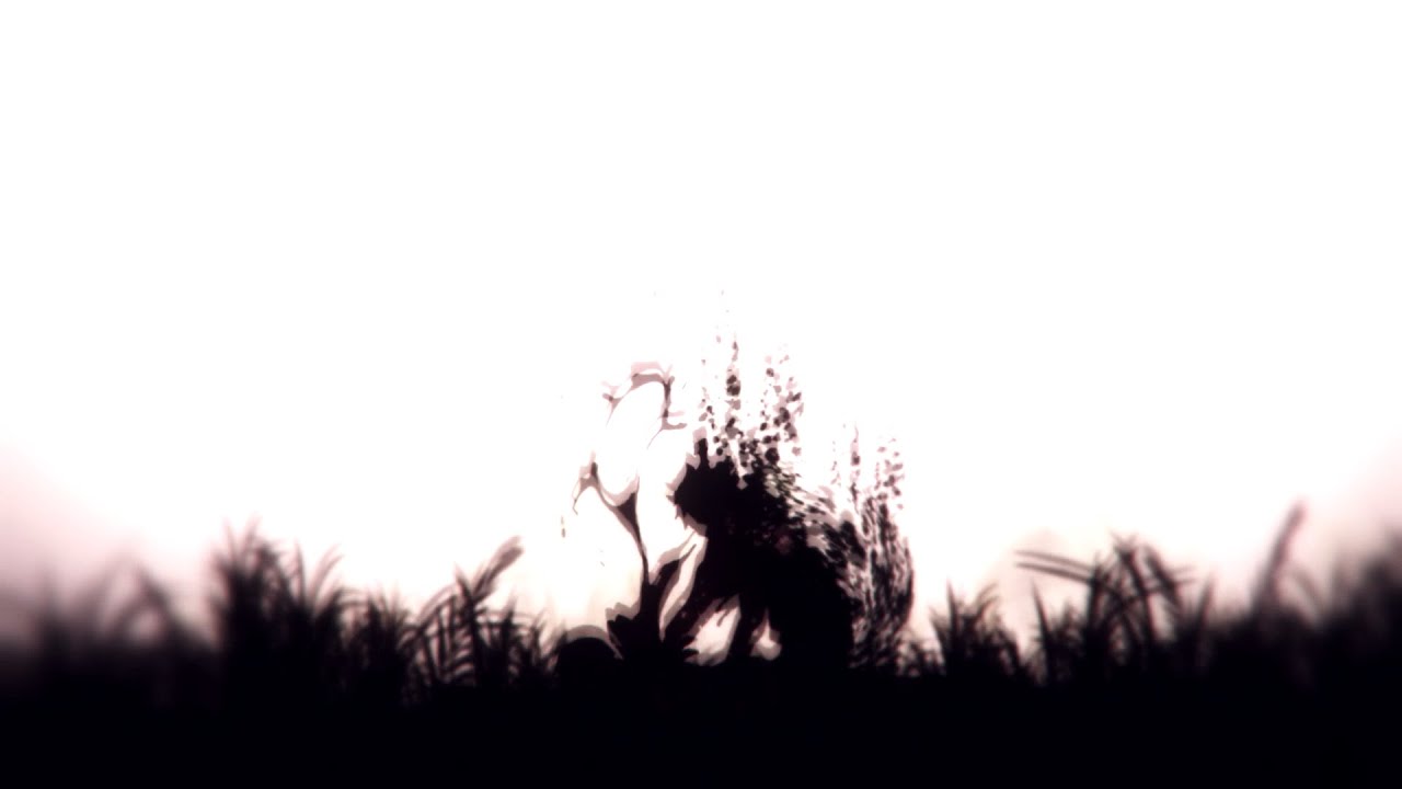 preview_player