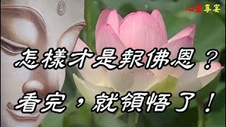 怎樣才是報佛恩？ 看完，就領悟了！