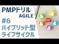 PMPドリル AGILE #6 ハイブリッド型ライフサイクル [第6版/2021年新試験対応]