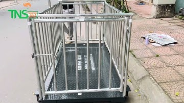 Hướng dẫn lắp ráp sử dụng cân lồng heo 500kg 1 tấn 2 tấn - Sử dụng đầu cân chốt số động vật HP 501