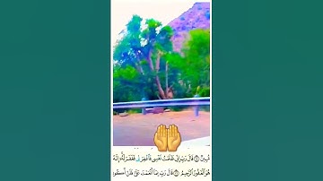 قال ربي ظلمت نفسي فغفرلي فغفر له |#تلاوه_خاشعه #القران_الكريم #القرآن_الكريم #اكسبلور #foryou