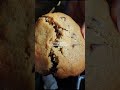 the best chocolate chip cookie in LA…