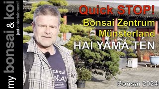 Bonsai 202418  QUICK STOP!  Bonsai Zentrum Münsterland und HAI YAMA TEN