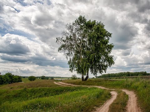 Алеша Рондо - Я помню (1980 г.)