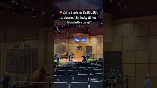 Zetta Z sets sale record selling for $2,000,000 #fasigky #horse #horseracing