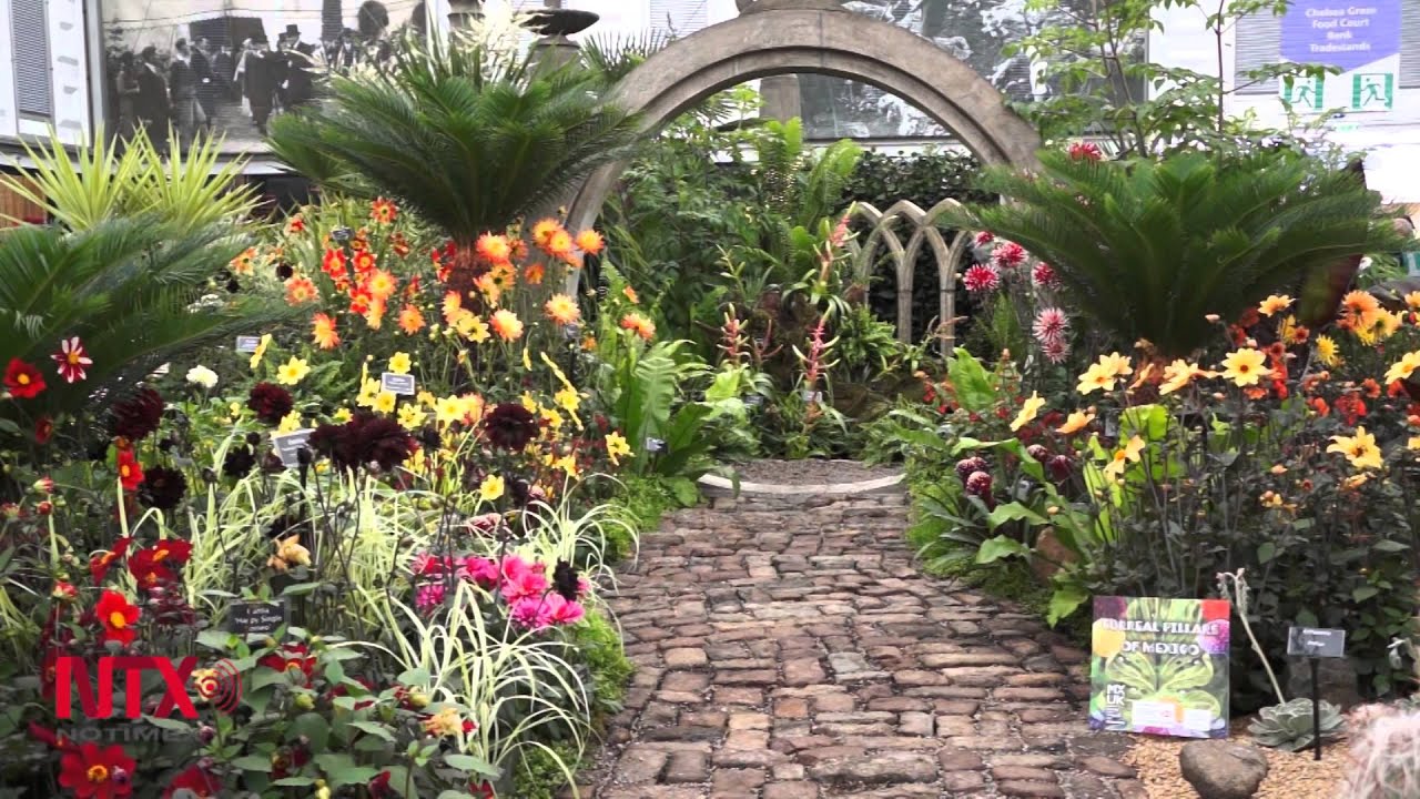 jardin surrealista jard 237 n surrealista mexicano gana oro en el chelsea flower jardin surrealista jard 237 n surrealista mexicano gana oro en el chelsea flower