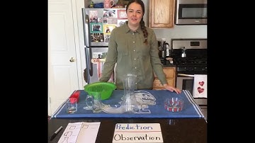 Making predictions and observing results with Ms. W!  Can YOU guess the volume of each container??