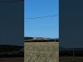 La campagna a Metaurilia - frazione di Fano
