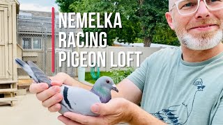 Nemelka Racing Pigeon Loft visit!