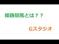 姫路競馬場が再開するので取り上げてみた！！