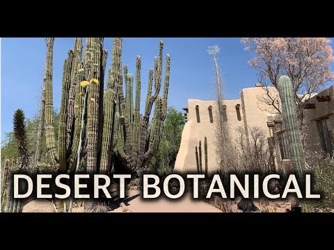 Video: Perhospaviljonki Desert Botanical Gardenissa Phoenixissa