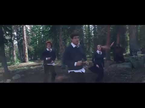 Funk do Harry Potter