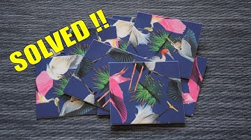 Scramble Squares Westlands Birds Puzzle: Step-by-Step Solution for Beginners