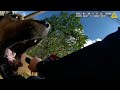 Officer Attacked by Two Dogs