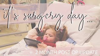 SURGERY DAY + 2 MONTH POST OP UPDATE by Mrs Henderson & Co 1,678 views 3 years ago 15 minutes