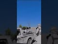 اولاد عمي ذهب نادر اولاد عمي ذهب نادر