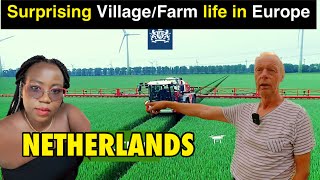 SURPRISE ; What the Dutch do in their farms