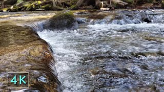 Rolling Falls Close-Up - Clear Stream Flowing - 10 Hours Water Sounds - Nature Scene - 4K - February