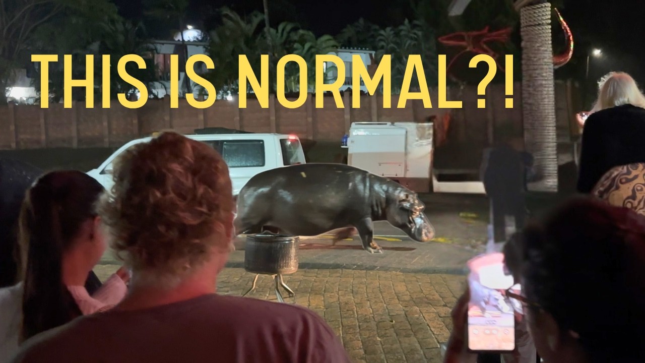 ⁣The Town Where Hippos Roam the Streets | S5 E23