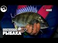 Зимняя рыбалка по-японски | Планета рыбака