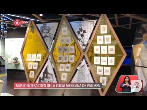 Video: De La Bolsa Al Museo