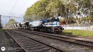 Ferrosur Roca / Trenes Argentinos. La 9020 con el 113 cruza con un CSR.