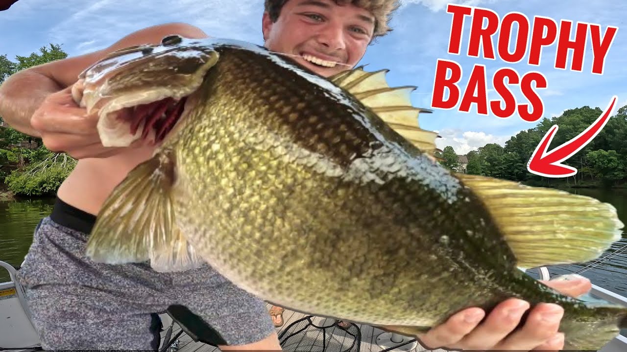 I Caught a TROPHY BASS While Pond Fishing!!! (Multiple 7+ pound bass)