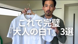 アバンティーズ  Tシャツ 3 Perfect 
