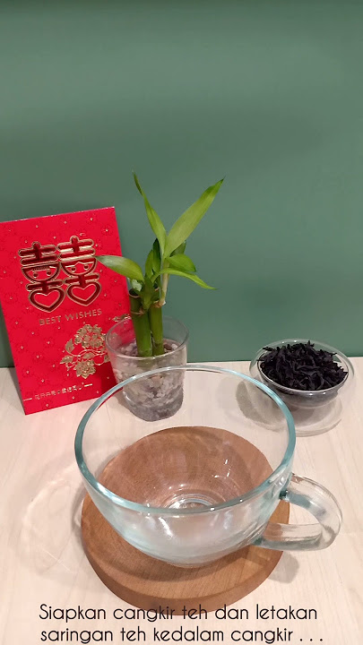 Resep 33 : Da Hong Pao | Comic 50 Resep Teh Duchess #dahongpao #tea #teh
