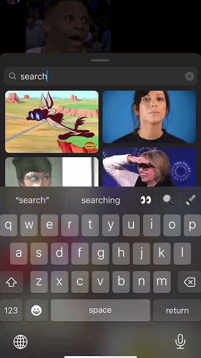 Add GIF Feature on Instagram