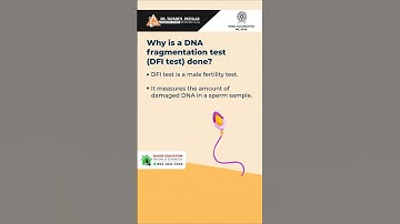 Shocking Truth About DNA Fragmentation Test (DFI) Explained