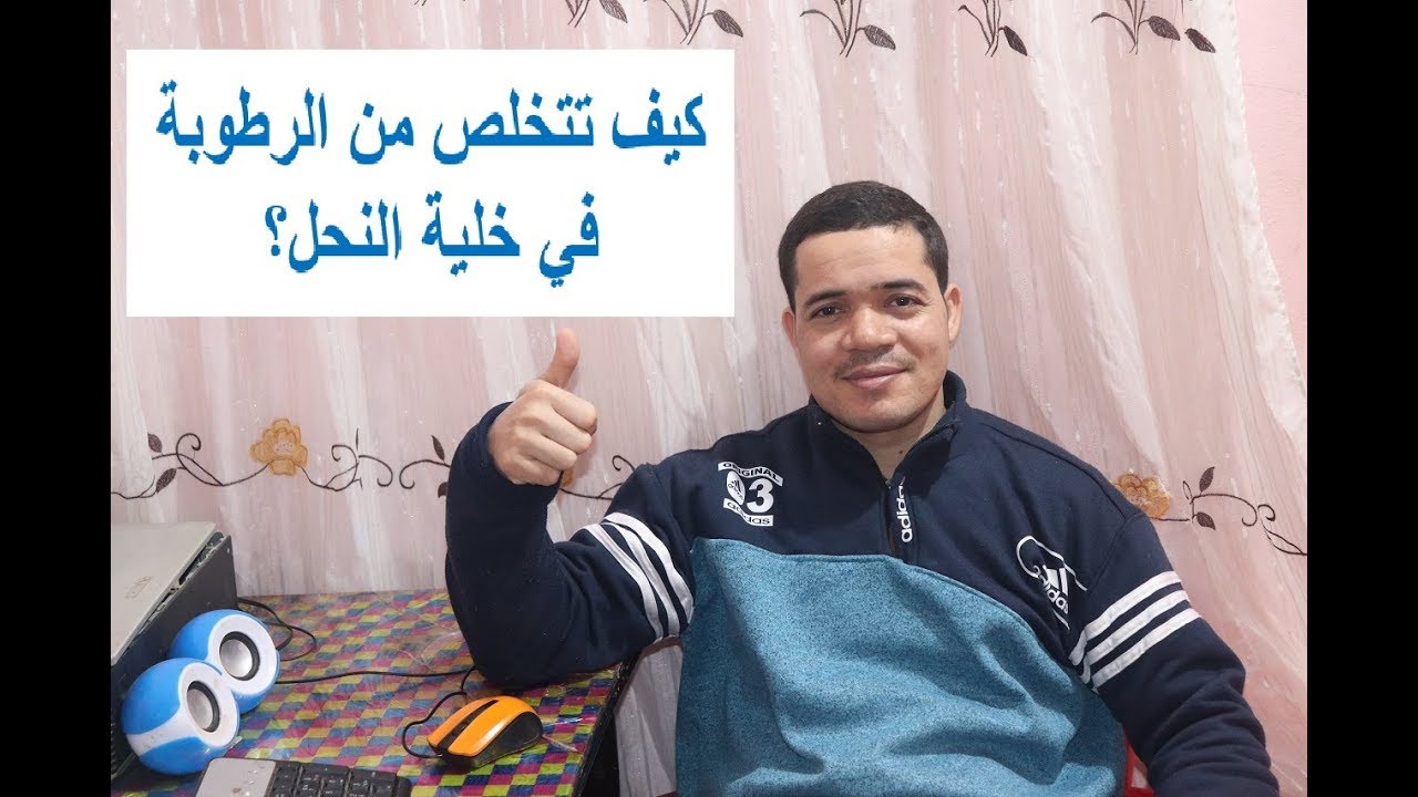 كيف تتخلص من الرطوبة في خلايا النحل