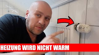 Heizung wird nicht warm? ✅ So behebst du die 2 häufigsten Ursachen einfach selbst