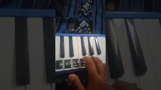Basuri chil bil versi pianika
